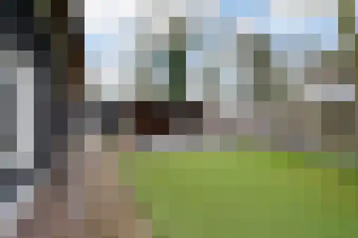 Paalstraat 39 De Moer thumbnail 58
