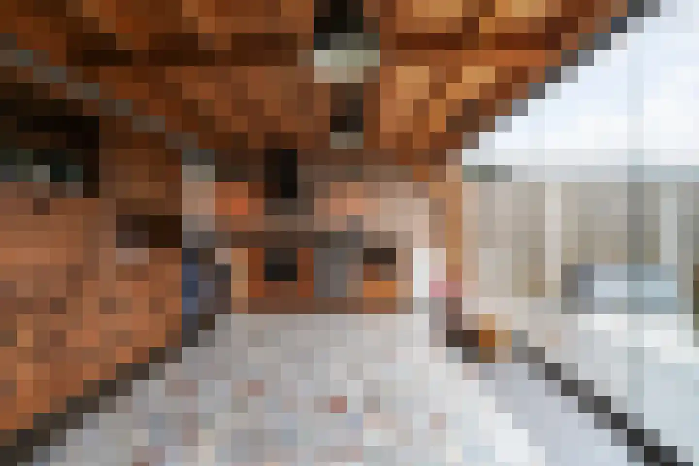 Paalstraat 39 De Moer thumbnail 60
