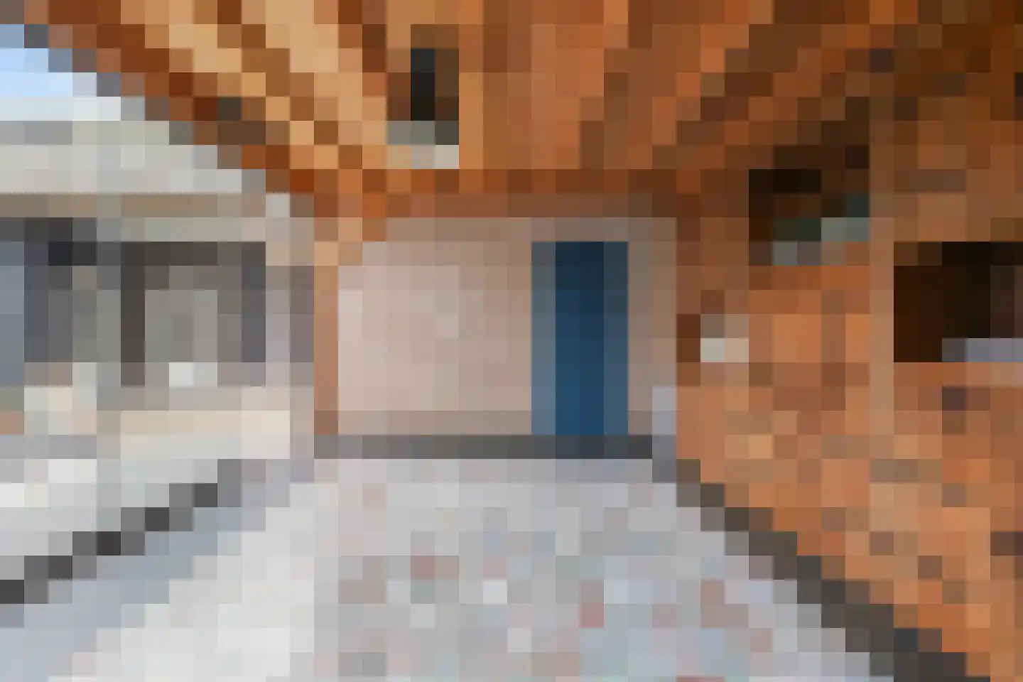 Paalstraat 39 De Moer thumbnail 61