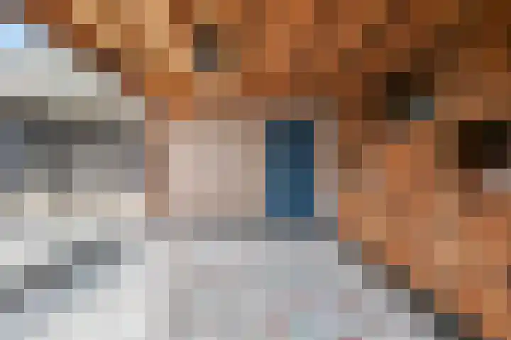 Paalstraat 39 De Moer thumbnail 61