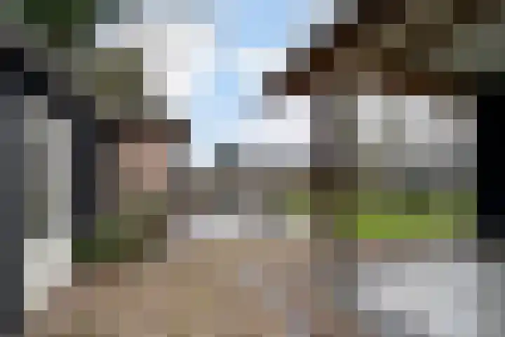 Paalstraat 39 De Moer thumbnail 64