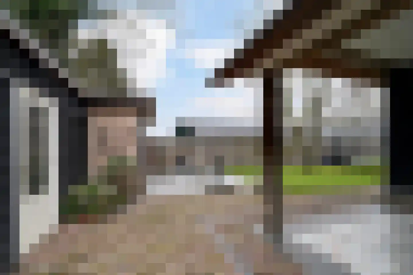 Paalstraat 39 De Moer thumbnail 64