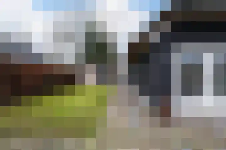 Paalstraat 39 De Moer thumbnail 65