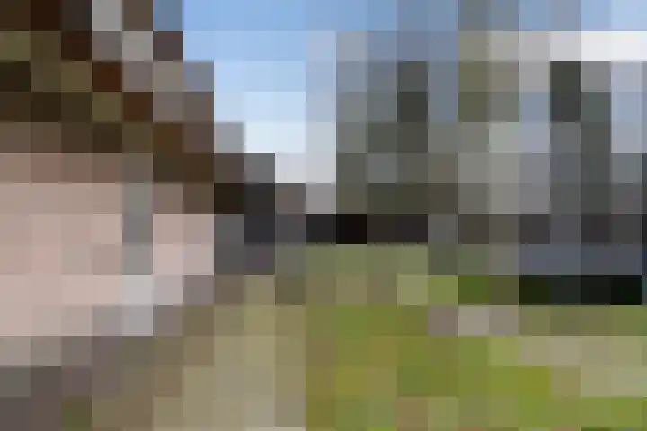 Paalstraat 39 De Moer thumbnail 66