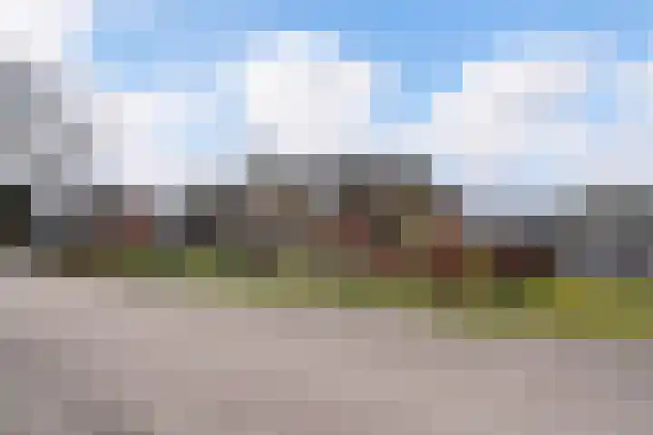 Paalstraat 39 De Moer thumbnail 67