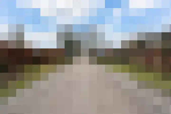 Paalstraat 39 De Moer thumbnail 68