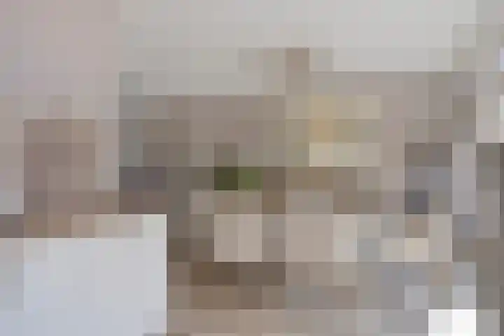 Paaltjesweg 5 Eindhoven thumbnail 10