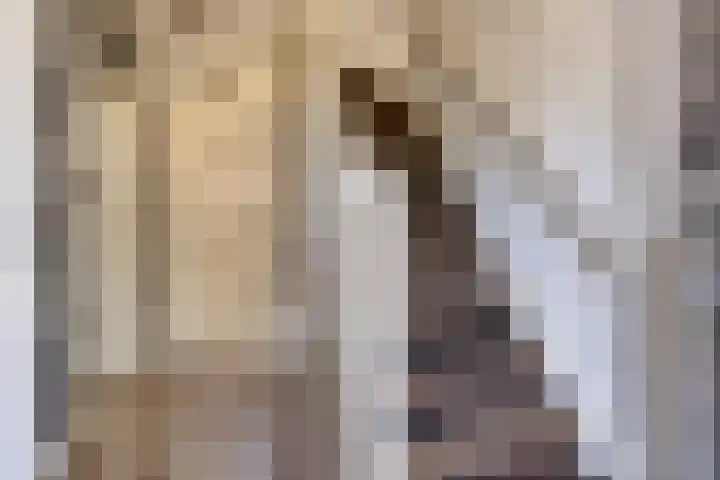 Paaltjesweg 5 Eindhoven thumbnail 12
