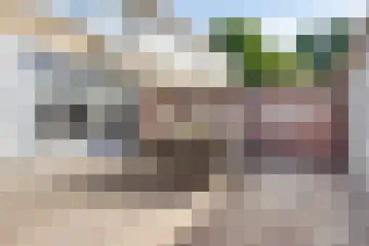 Paaltjesweg 5 Eindhoven thumbnail 20