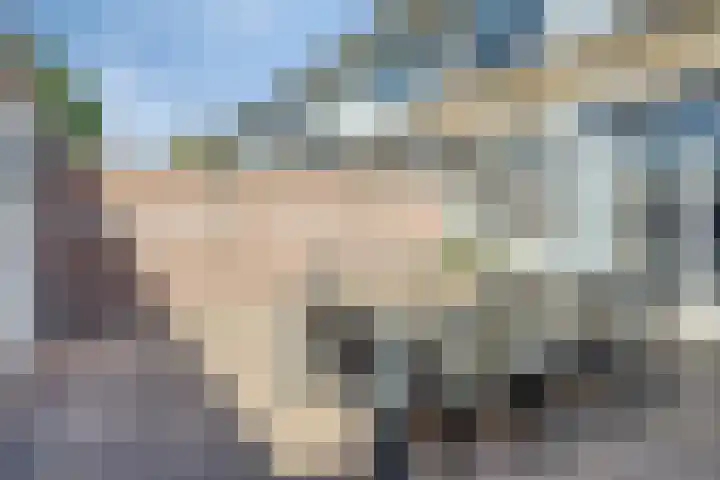 Paaltjesweg 5 Eindhoven thumbnail 21