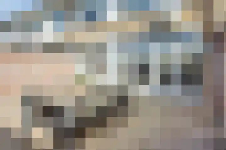 Paaltjesweg 5 Eindhoven thumbnail 22