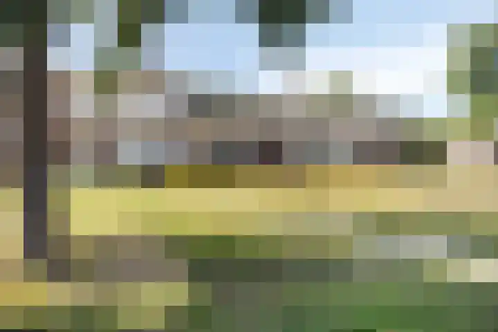 Paaltjesweg 5 Eindhoven thumbnail 31