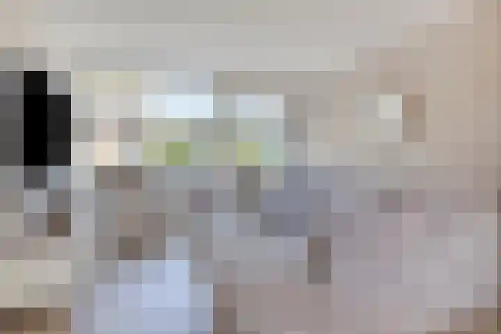 Paaltjesweg 5 Eindhoven thumbnail 5