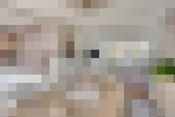 Paaltjesweg 5 Eindhoven thumbnail 6