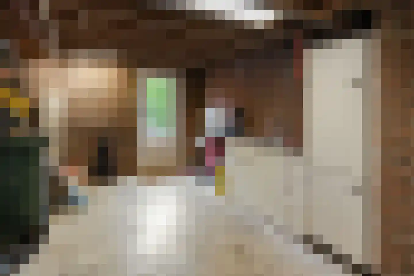 Paalweg 37 Heino thumbnail 22