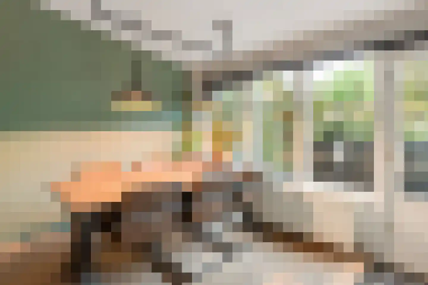 Paalweg 39 Heino thumbnail 11