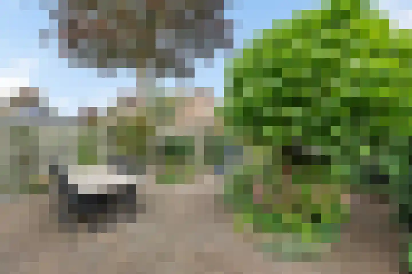 Paalweg 39 Heino thumbnail 35