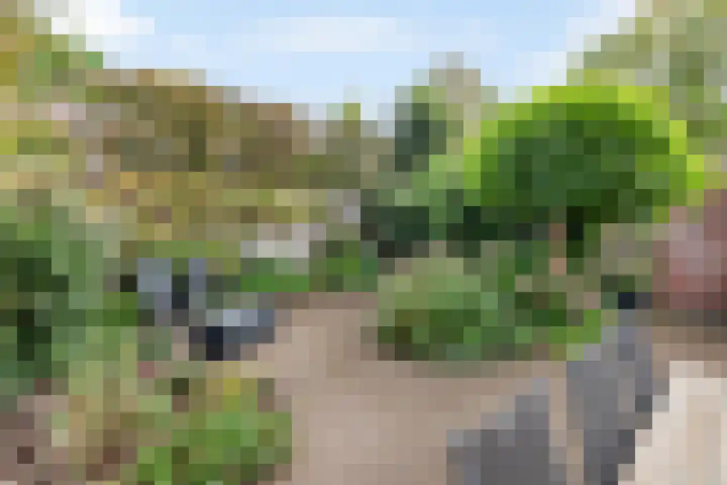 Paalweg 39 Heino thumbnail 36