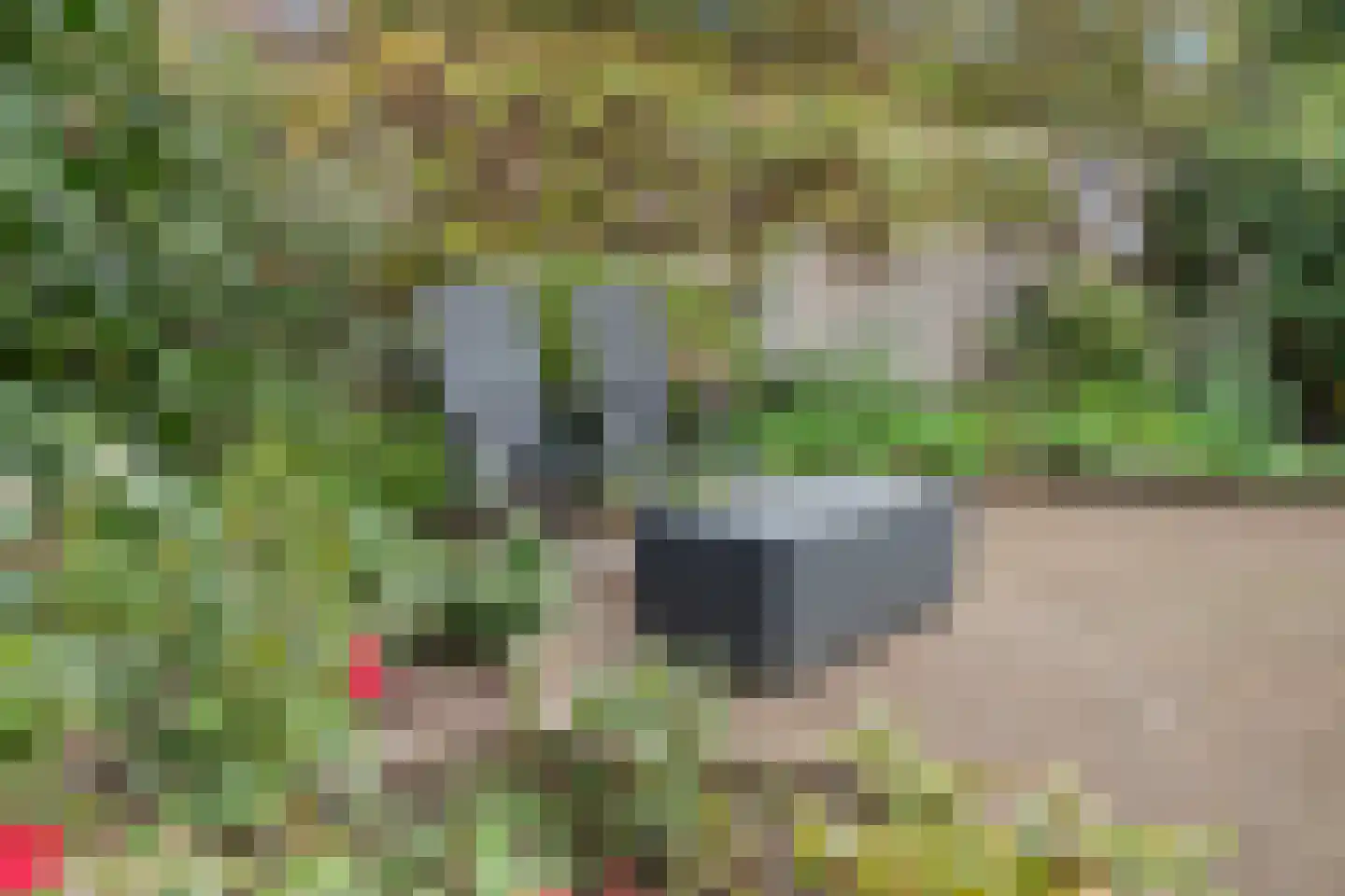 Paalweg 39 Heino thumbnail 37