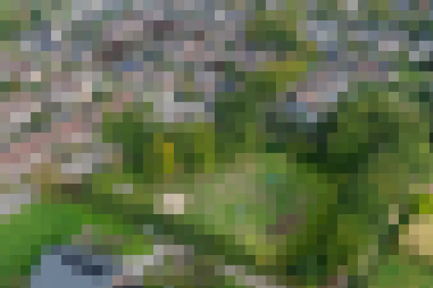 Paalweg 39 Heino thumbnail 39