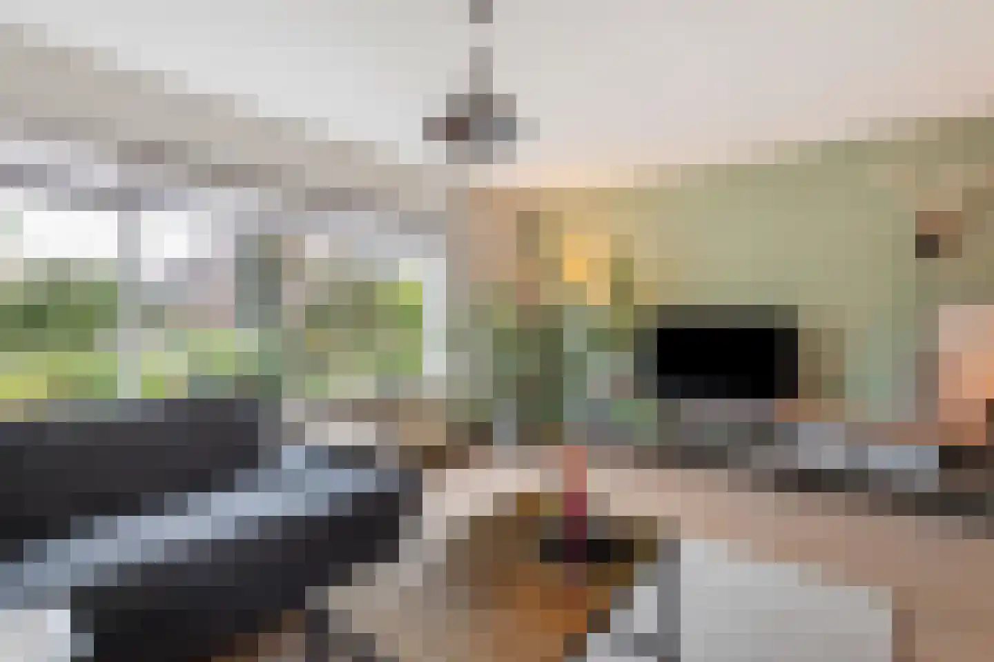 Paalweg 39 Heino thumbnail 6