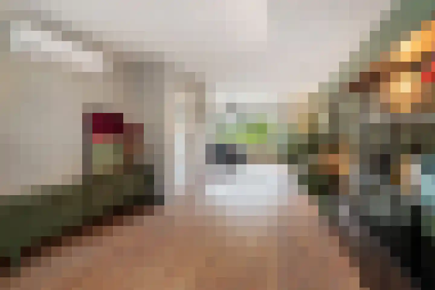 Paalweg 39 Heino thumbnail 8