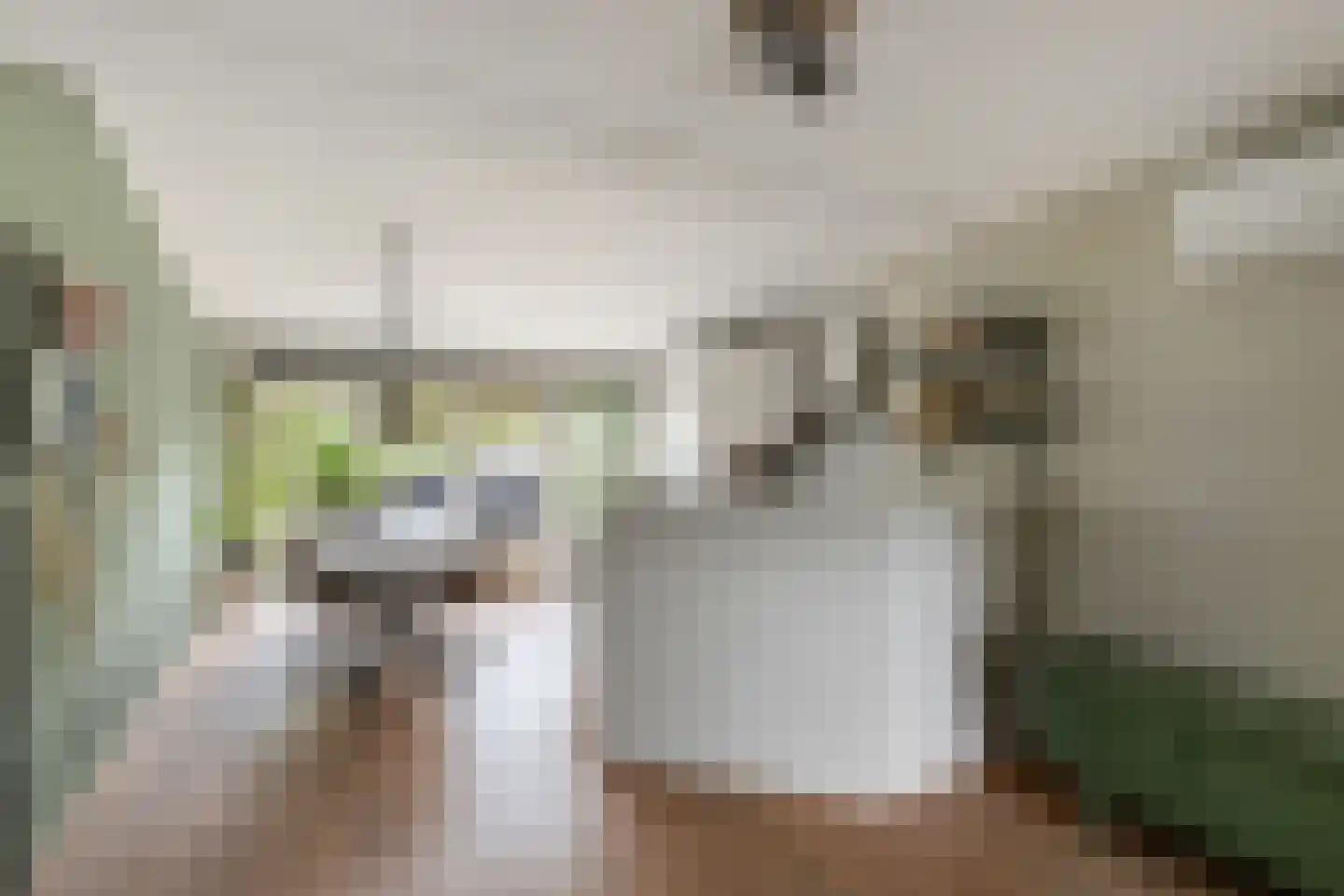 Paalweg 39 Heino thumbnail 9