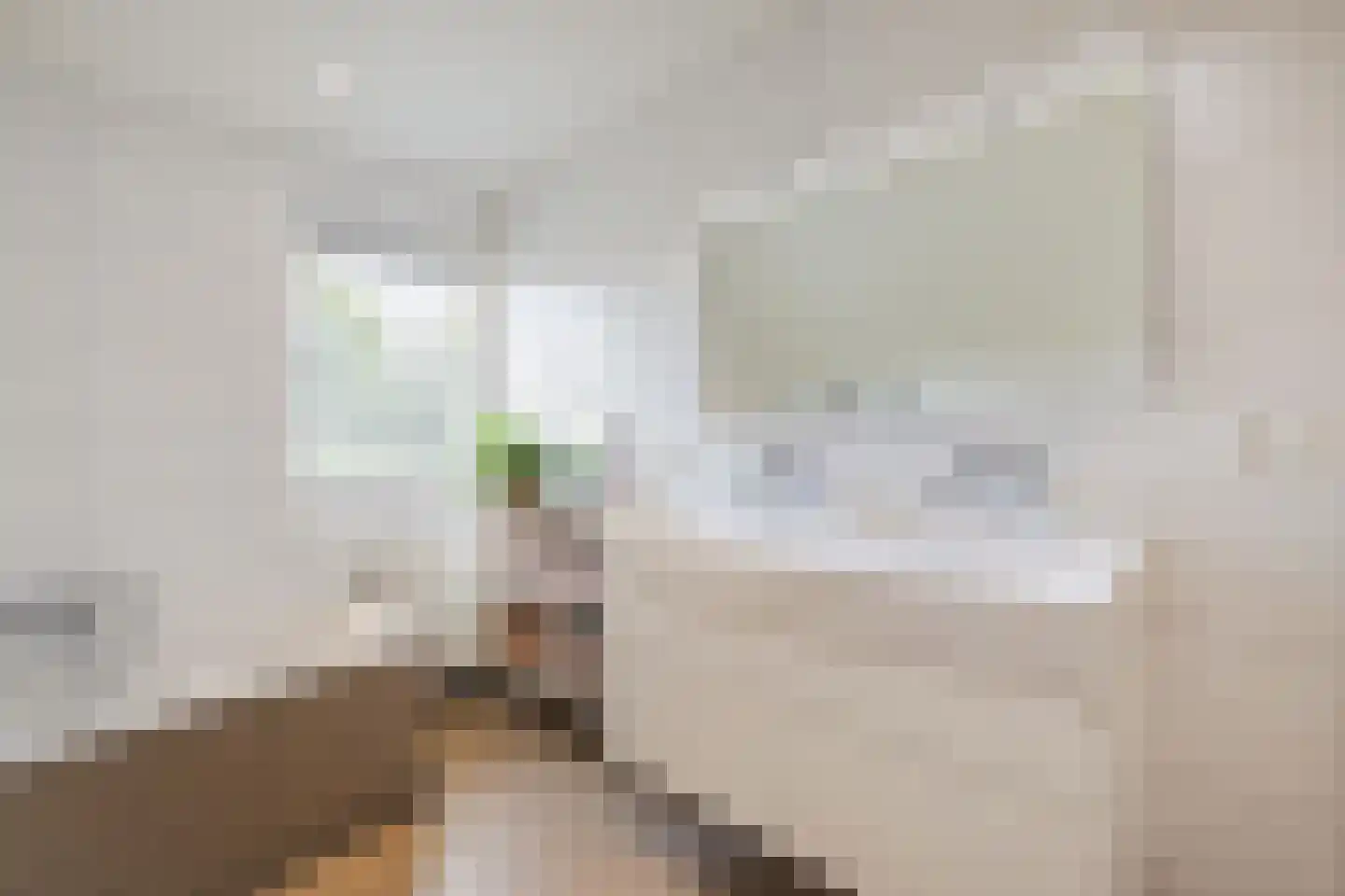 Paalweg 5 a Heino thumbnail 39