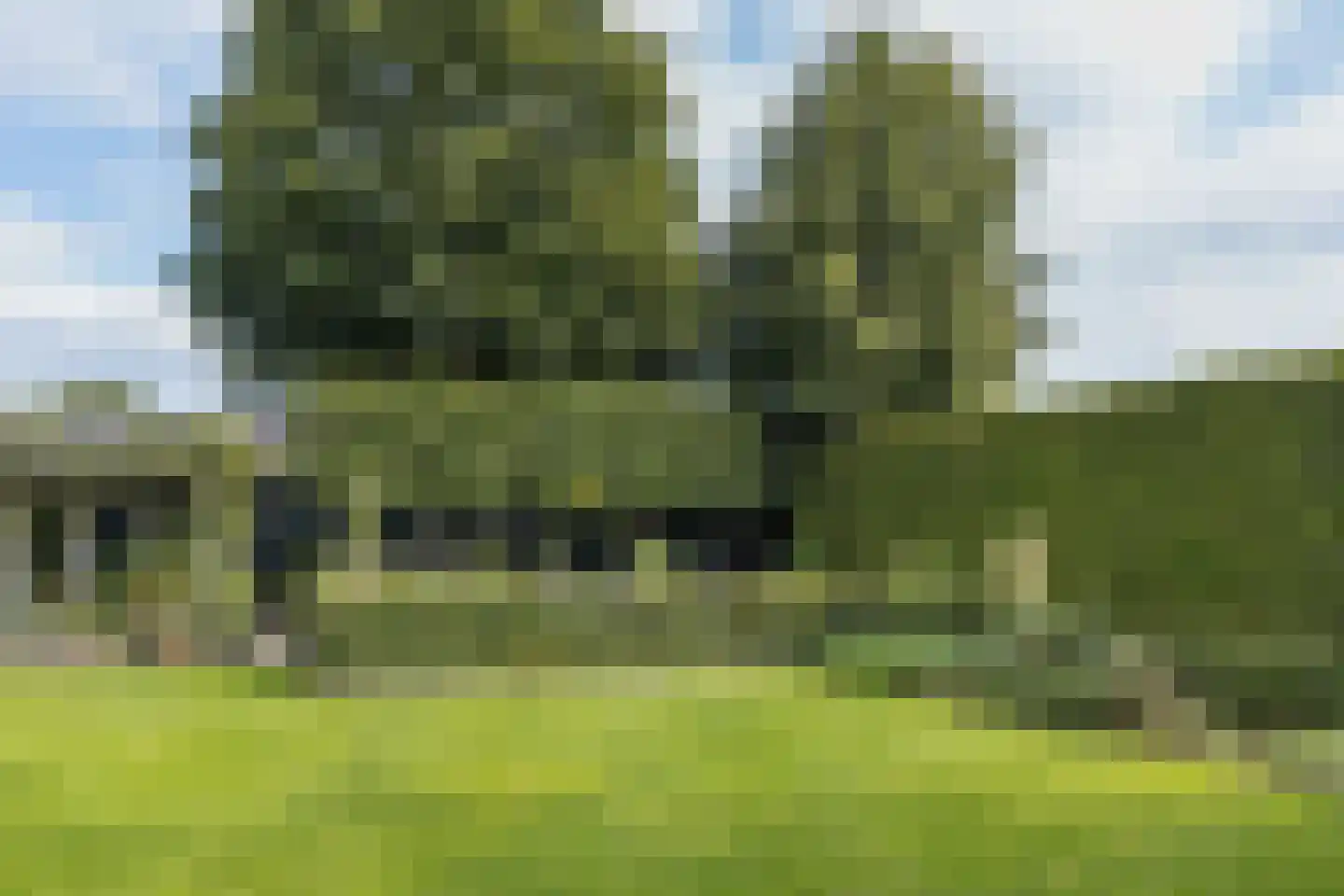 Paalweg 5 a Heino thumbnail 60