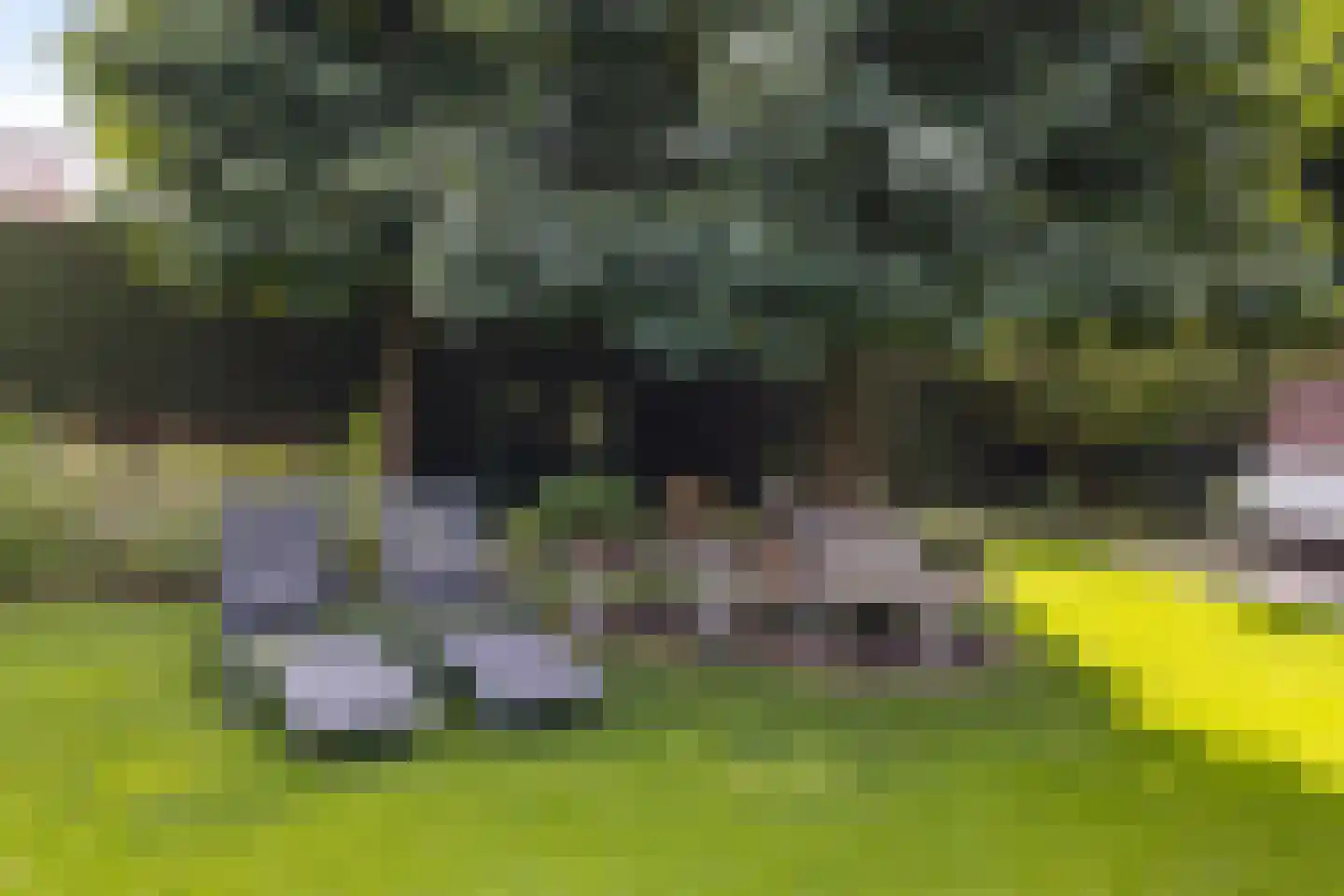 Paalweg 5 a Heino thumbnail 61