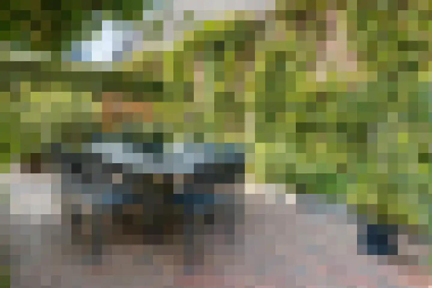 Paalweg 5 a Heino thumbnail 71
