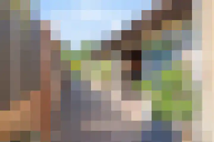 Paalweg 5 Venlo thumbnail 14