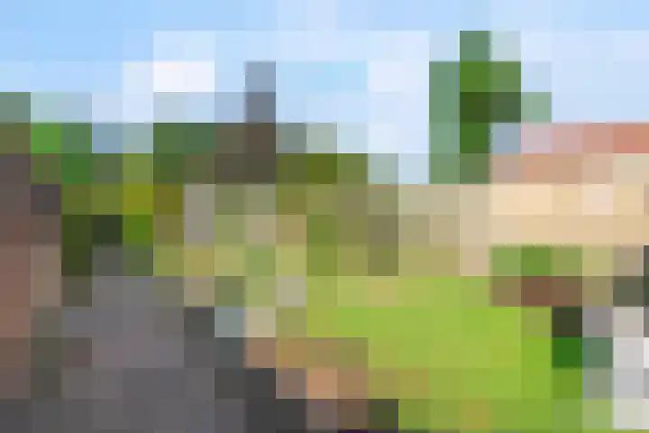 Paalweg 5 Venlo thumbnail 17
