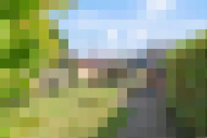 Paalweg 5 Venlo thumbnail 18