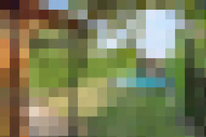 Paalweg 5 Venlo thumbnail 20