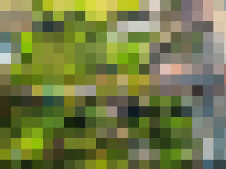 Paalweg 5 Venlo thumbnail 29