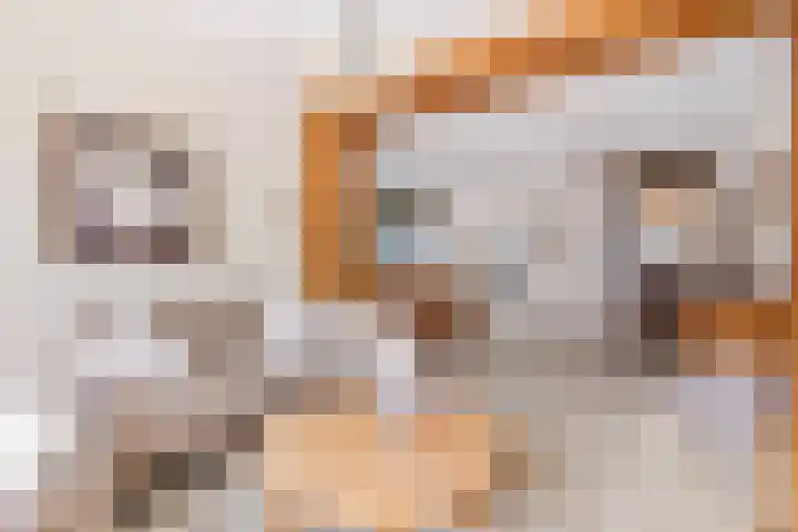 Paalweg 5 Venlo thumbnail 4