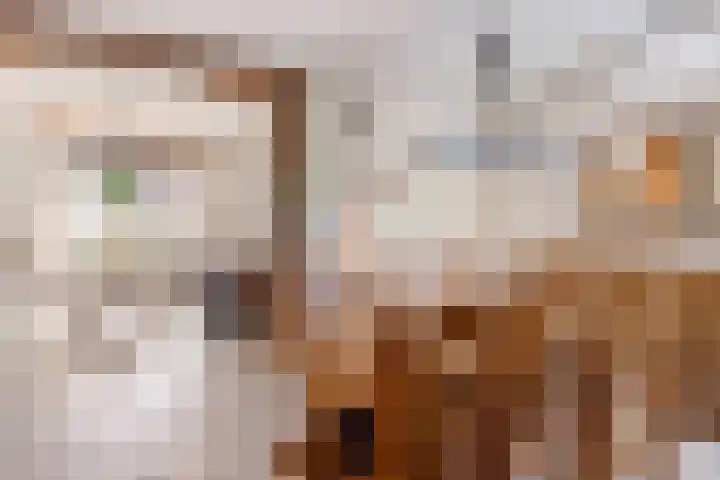 Paalweg 5 Venlo thumbnail 5