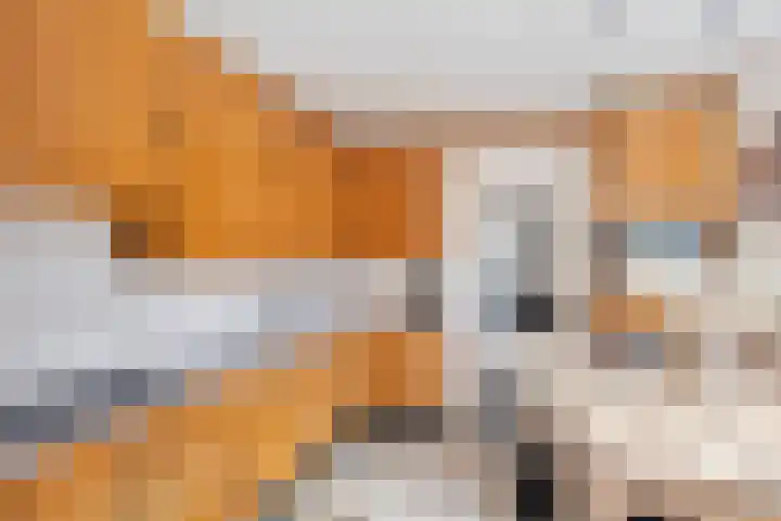 Paalweg 5 Venlo thumbnail 7