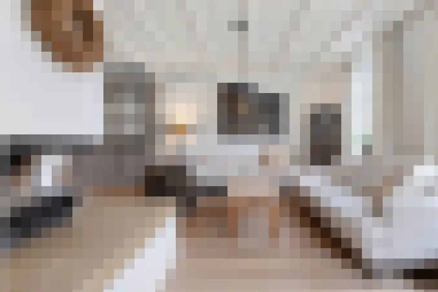 Paalweg 56 Venlo thumbnail 8