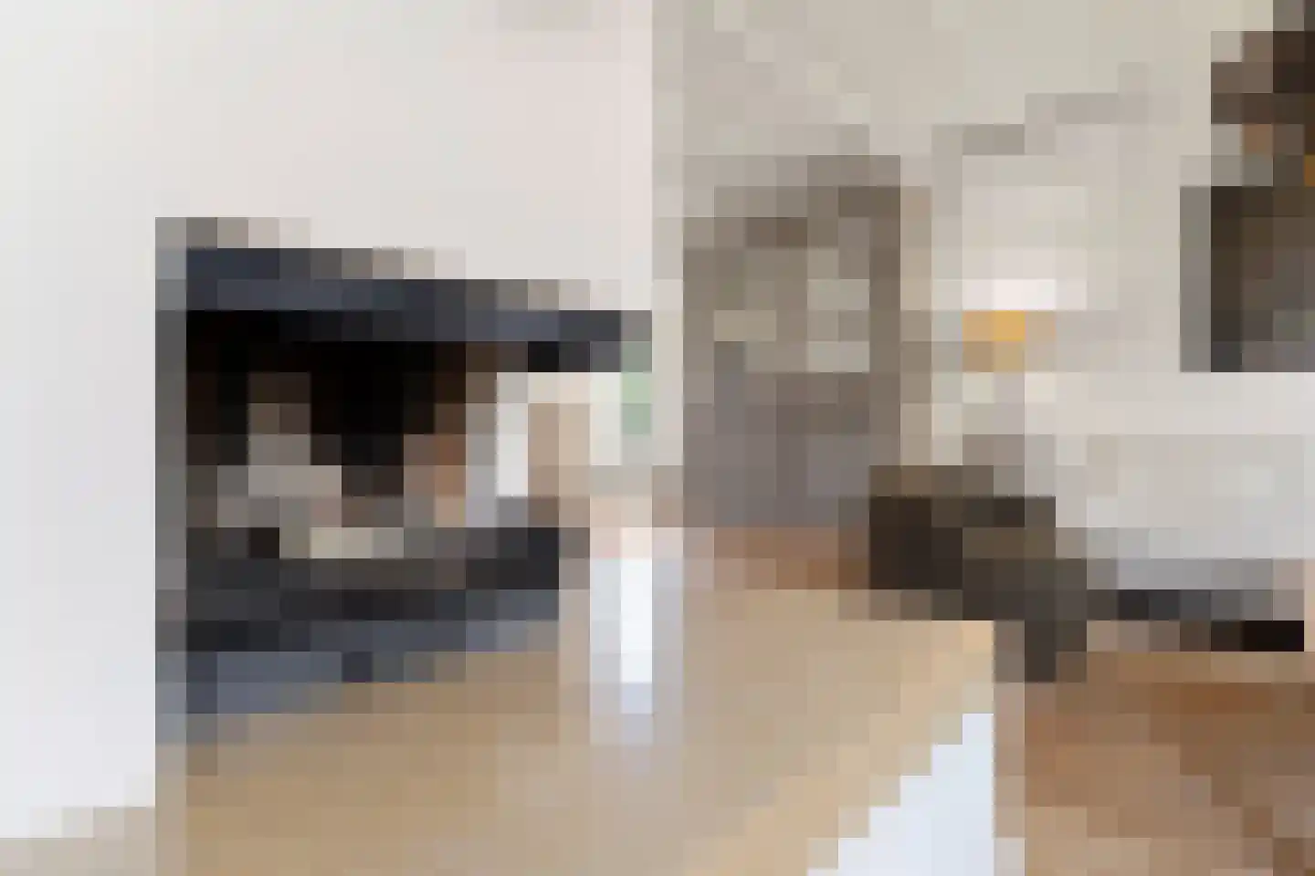 Paalweg 56 Venlo thumbnail 9