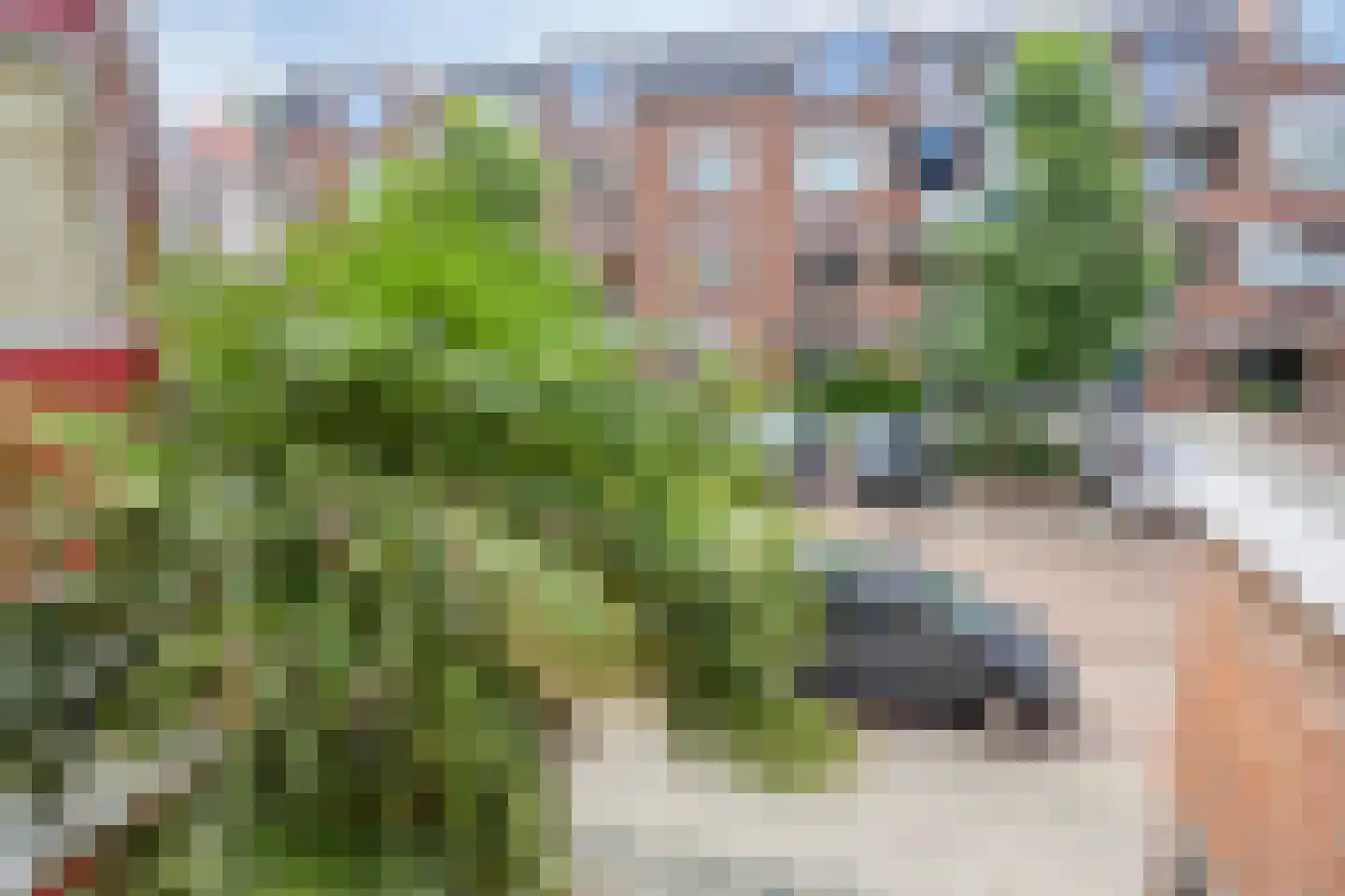 Paap Dirckstraat 37 Rotterdam thumbnail 17