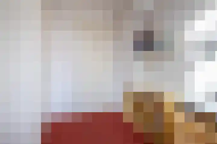 Paapenhof 13 Heiloo thumbnail 14