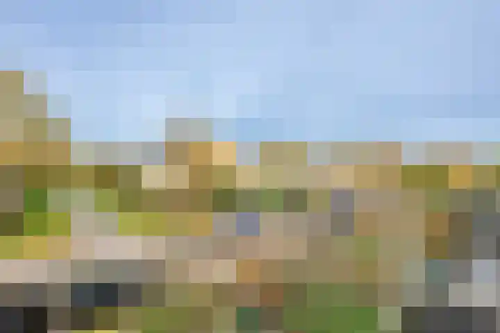 Paapenhof 13 Heiloo thumbnail 17