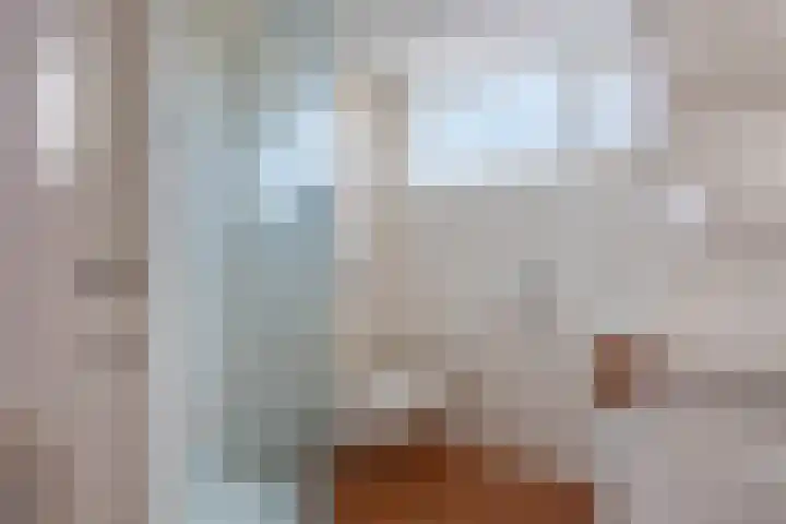 Paapenhof 13 Heiloo thumbnail 18