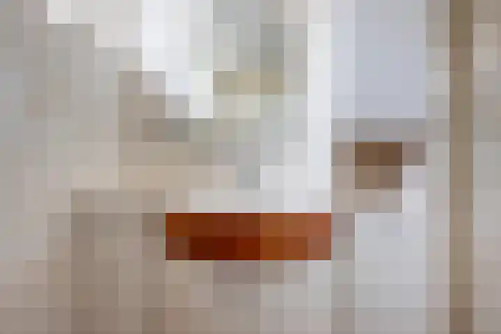 Paapenhof 13 Heiloo thumbnail 19