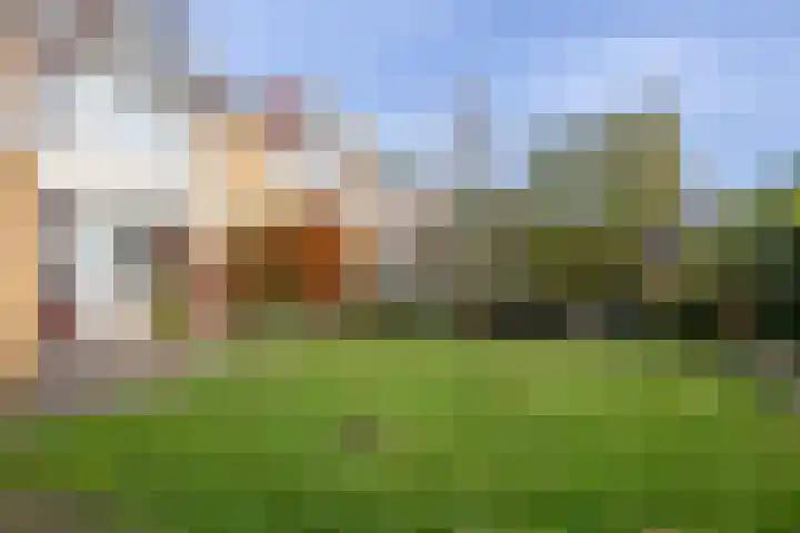 Paapenhof 13 Heiloo thumbnail 27