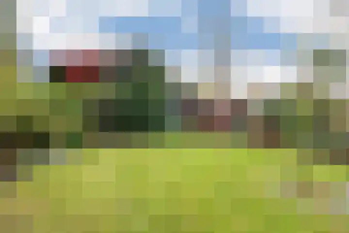 Paapenhof 13 Heiloo thumbnail 28