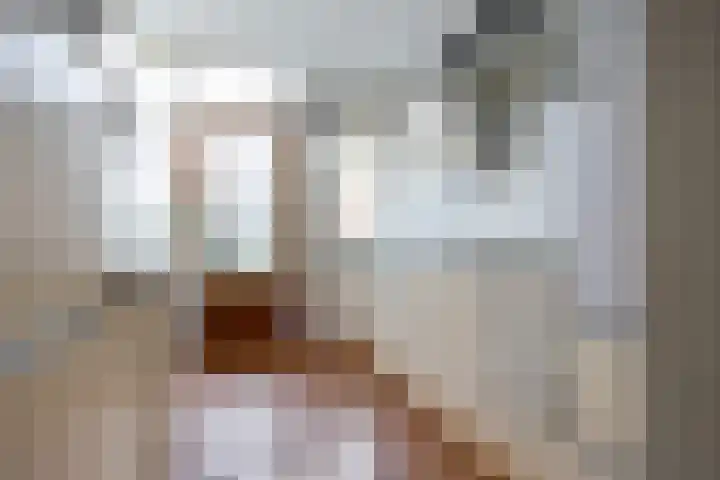 Paapenhof 13 Heiloo thumbnail 6