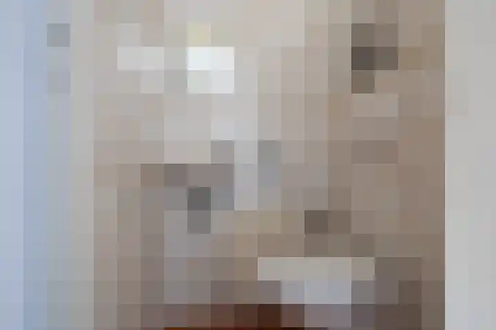 Paapenhof 13 Heiloo thumbnail 9